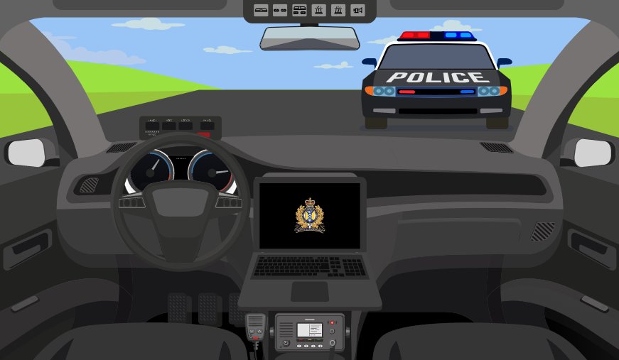 A screenshot of an interactive Cruiser activity